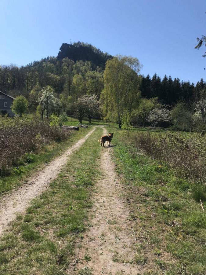 Apartmán Pension Elblinge Prossen Exteriér fotografie